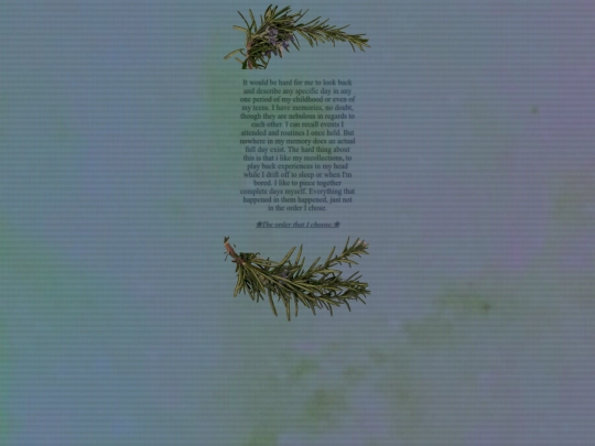 begin screenshot