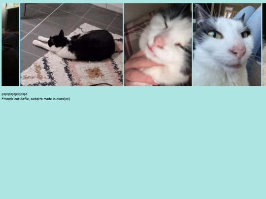 Sofie/sofise screenshot