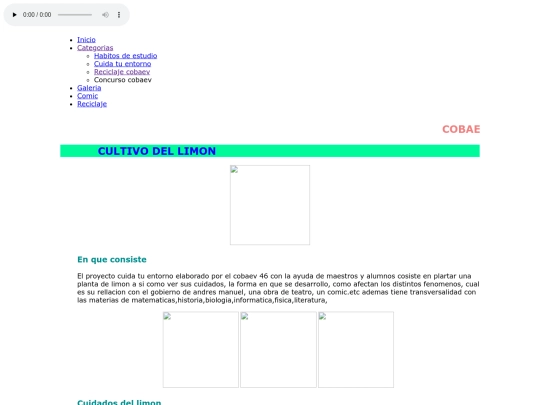 limon screenshot