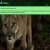 The web site of sol-rr avatar