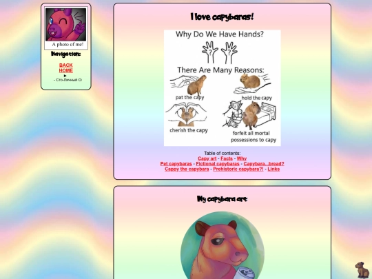 shrine/capybara screenshot