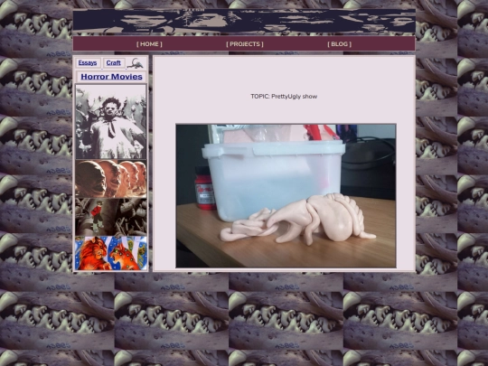 Blog/BUG screenshot