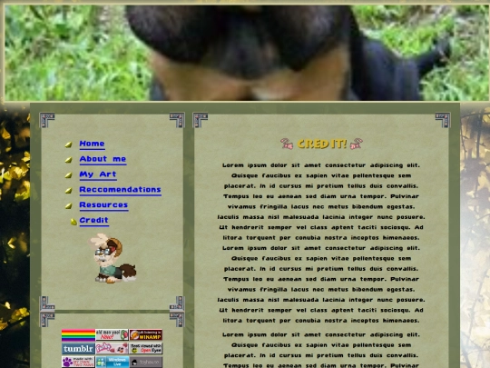 credit screenshot