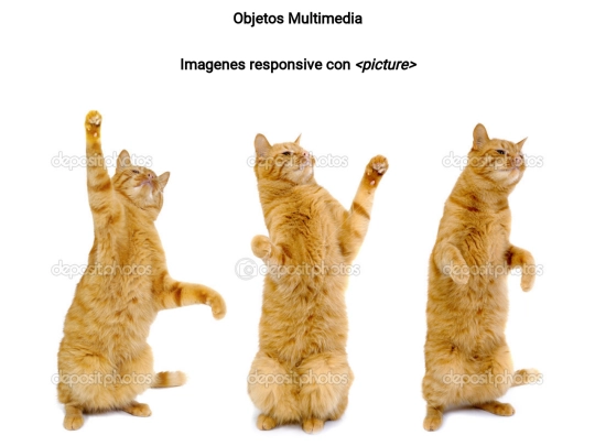 objetos_multimedia screenshot