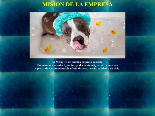 mision screenshot