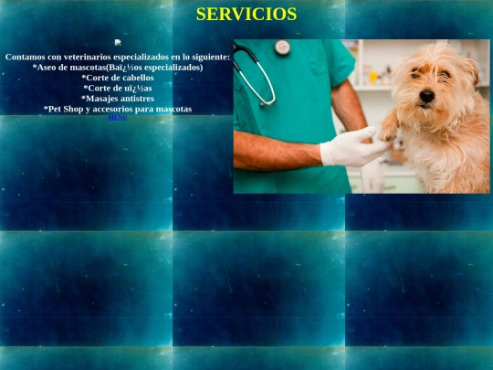 servicios screenshot