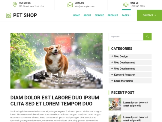 plantilla css/detail screenshot