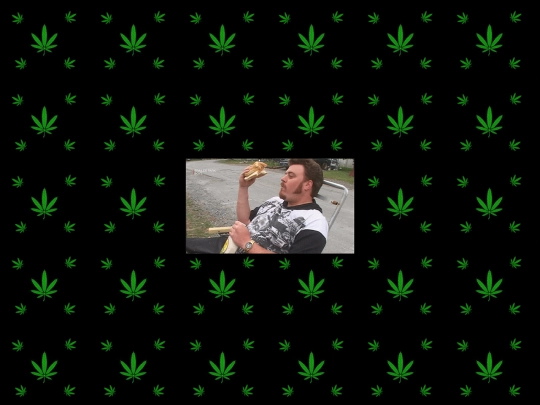 legalizeit screenshot