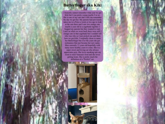 kiki screenshot