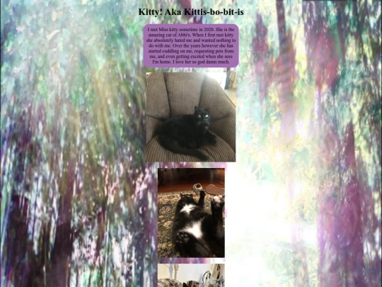 kitty screenshot