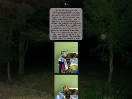 photos/misccats/chip screenshot