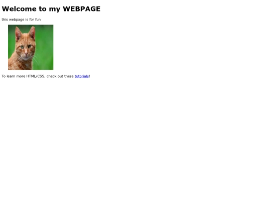 cat screenshot