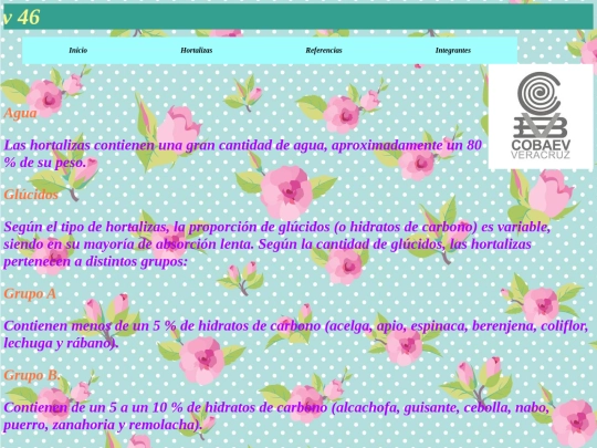 Basica screenshot