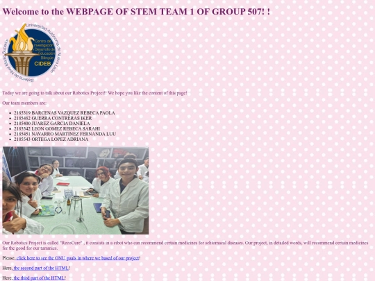 stemteam1 screenshot