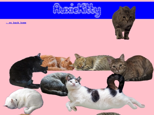 cats screenshot