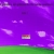 willdog.yorniq.xyz avatar