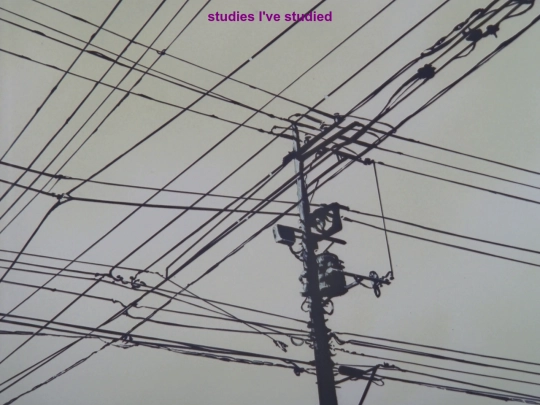 pages/studies screenshot