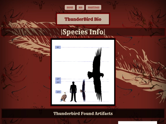 Bio screenshot