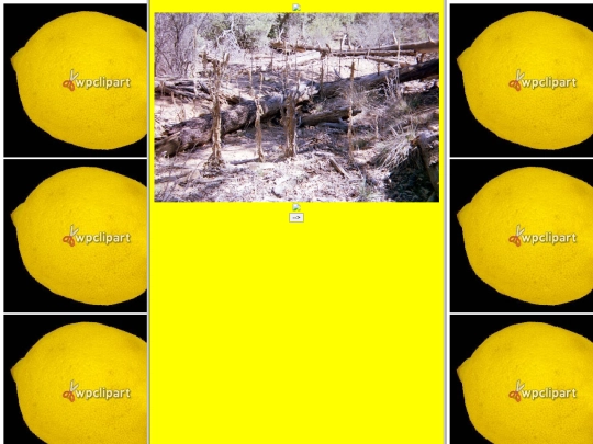 two screenshot