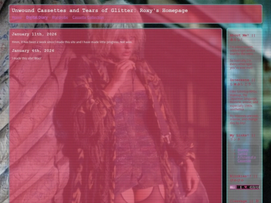 digitaldiary screenshot