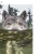 pinecatt.yorniq.xyz avatar