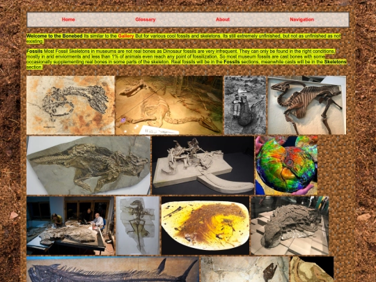 Bonebed screenshot