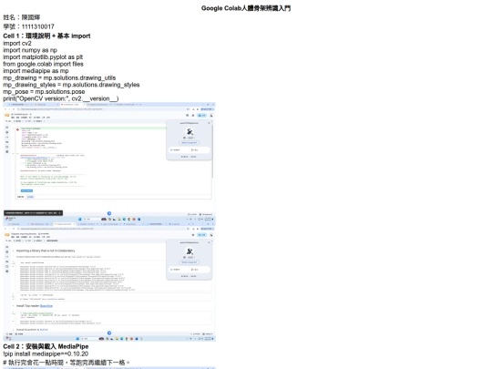 Google Colab人體骨架辨識入門 screenshot