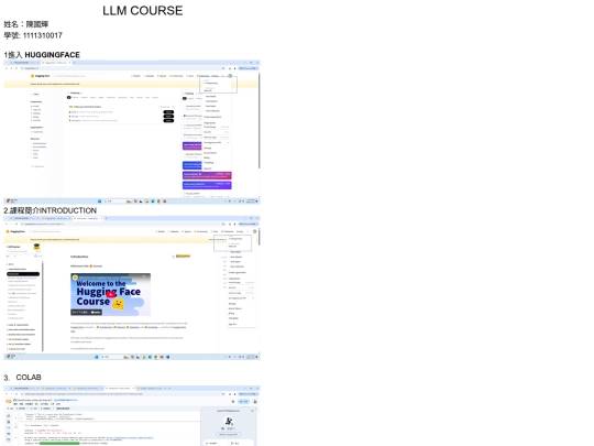 LLM COURSE screenshot