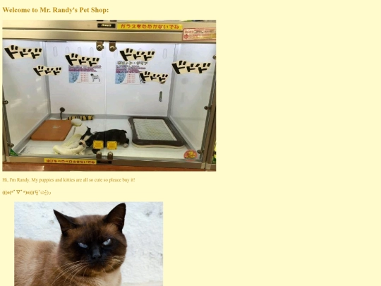 pet screenshot