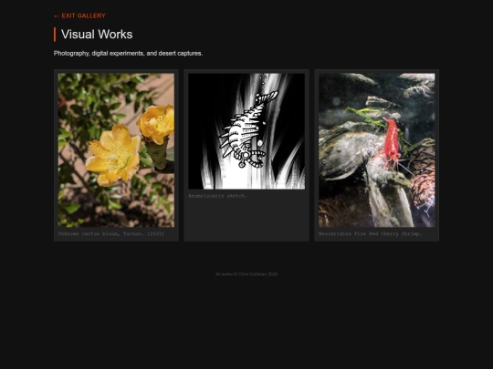 art screenshot