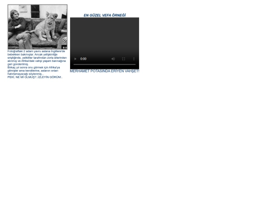 AslandanVefa screenshot