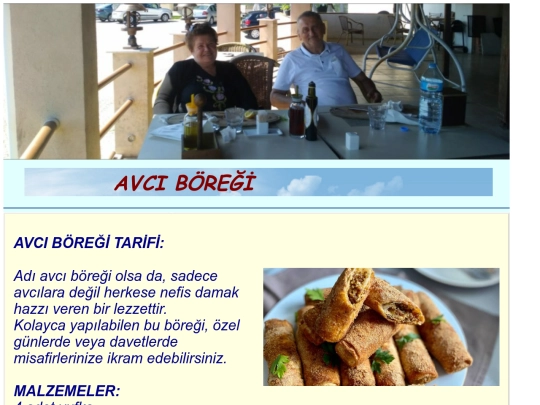 AvciBoregi screenshot