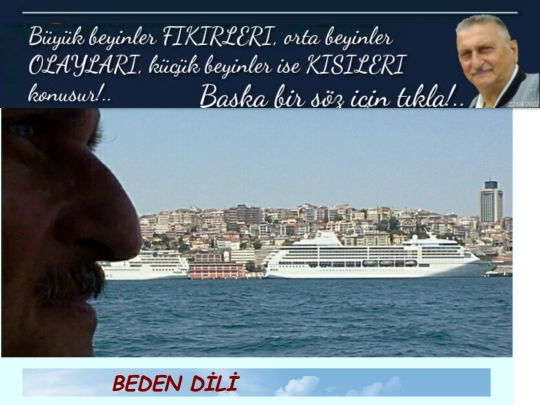 BedenDili screenshot