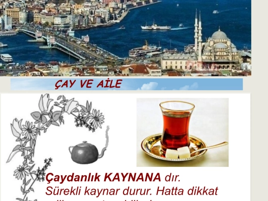 CayVeAile screenshot