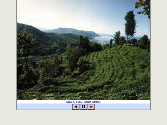 FotoA_Rize screenshot