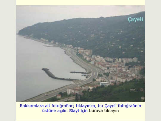 Foto_Dedem screenshot