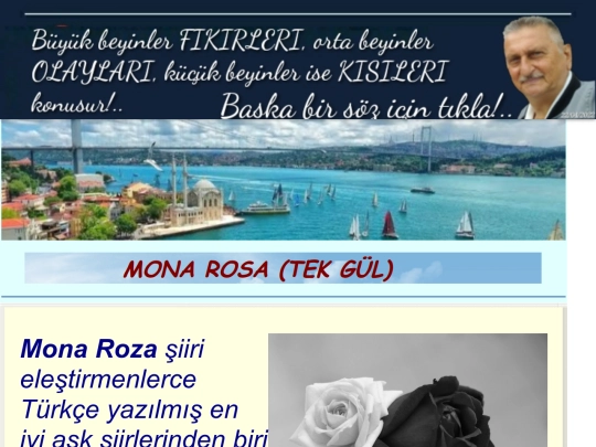 MonaRosa screenshot