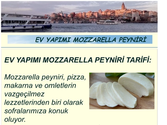 Mozzarella screenshot