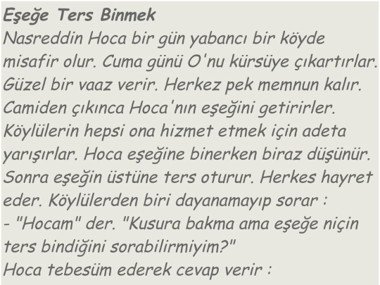NHocaFikralari screenshot
