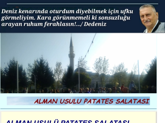 PatatesSalata screenshot