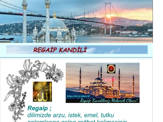Regaip screenshot