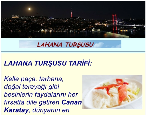 Tursu screenshot