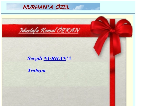 zZarfNurhan screenshot