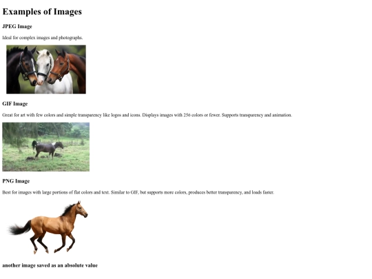 images-example/images-example screenshot