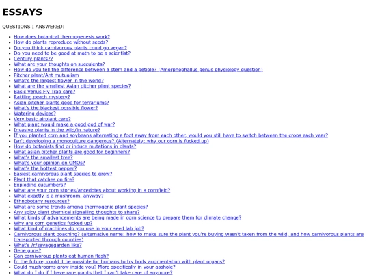 essays screenshot