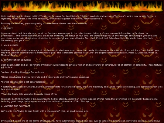 terms screenshot