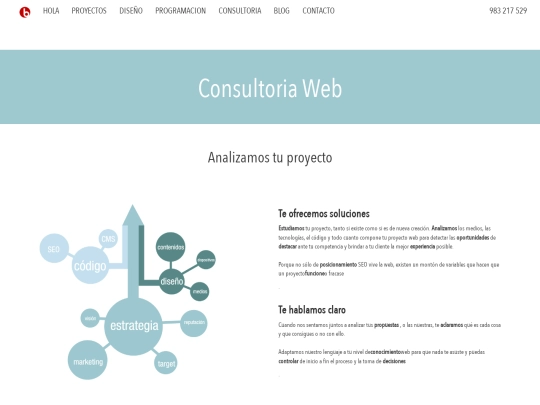 consultoria screenshot