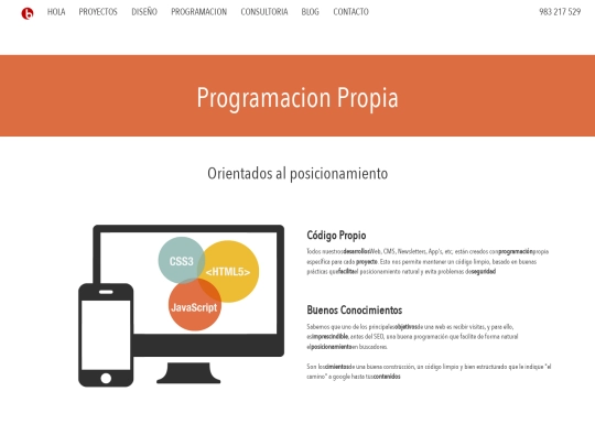 programacion screenshot