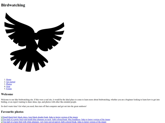 birdwatcher screenshot