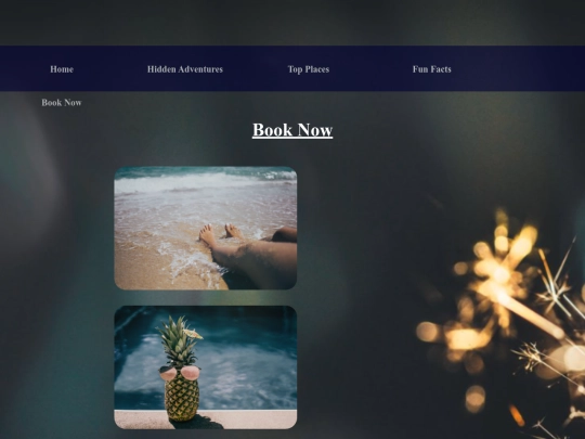 booknow screenshot